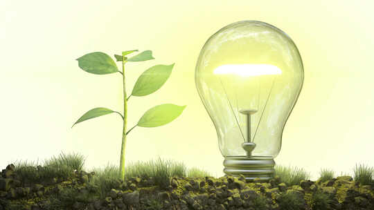 可再生能源，环境保护概念视频，灯泡