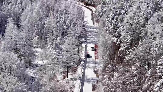 陕西秦岭分水岭雾凇冰挂雪景