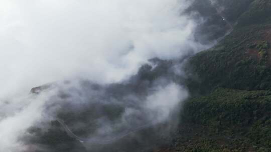 贵州高原日出云海下的森林风景风光