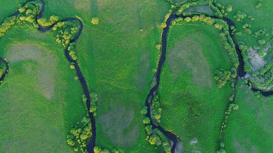 航拍内蒙古特尼河湿地河流风光视频素材模板下载