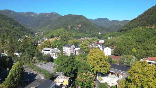 合集德清县莫干山竹林五四村秋季风景视频素材模板下载