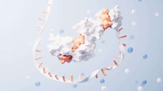 具有生物学概念的RNA和蛋白质