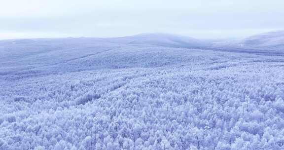 航拍大兴安岭冰雪雾凇