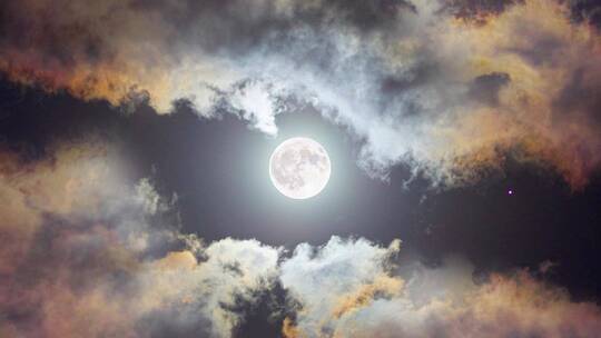 月亮明月圆月