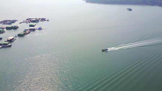 香港大埔船湾避风塘。
船从海上移回海水养