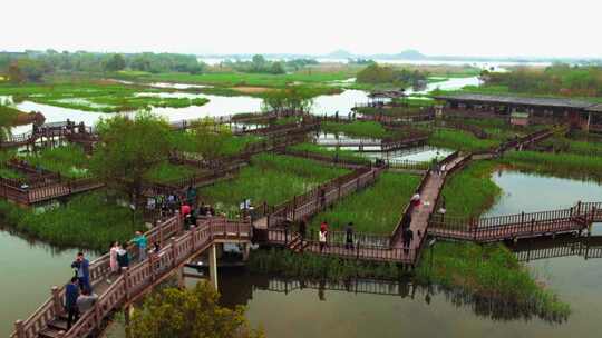 合集下渚湖湿地日出日落游客延时美景