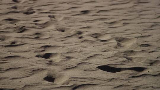 沙滩上的沙子
