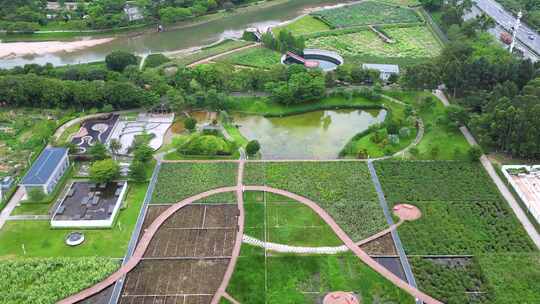 航拍雨后深圳观澜湿地公园