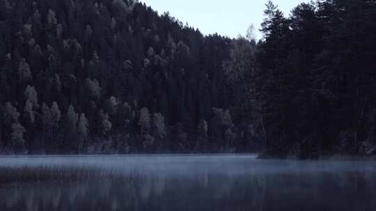 清晨森林的湖面上雾气蒙蒙