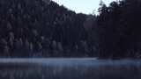 清晨森林的湖面上雾气蒙蒙高清在线视频素材下载
