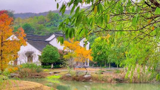 视频素材，人在旅途心随景动大自然的美