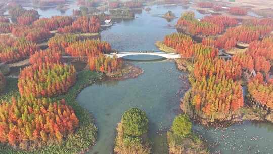 南昌高新区鱼尾洲湿地公园航拍