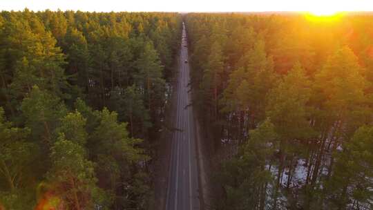 4k风景航拍日出时笔直的森林公路