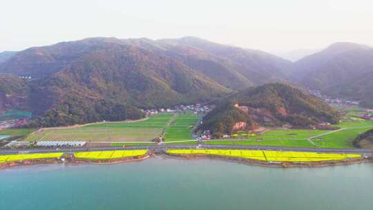 杭州富阳富春江江畔春天油菜花风景