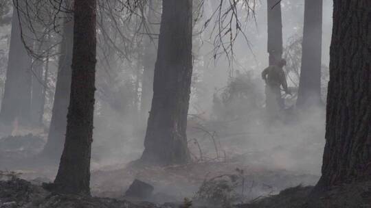 国家森林扑灭火焰