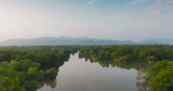 杭州西溪湿地公园夏天风光航拍