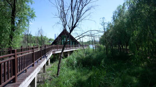 武汉江岸区汉口江滩风景