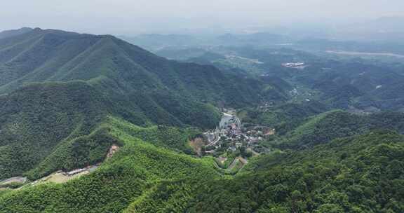 中国浙江杭州径山竹山竹林竹海大气治愈