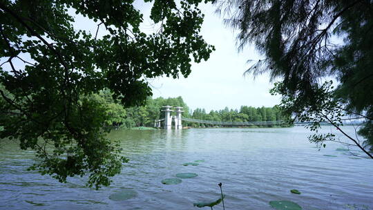 湖北武汉东湖落雁景区