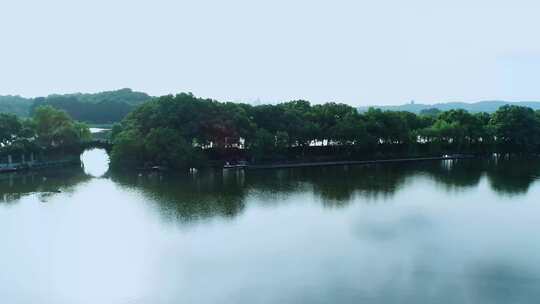 航拍杭州西湖曲院风荷荷花视频视频素材模板下载