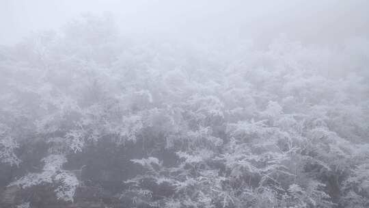 寒潮冬天下雪的村庄田野