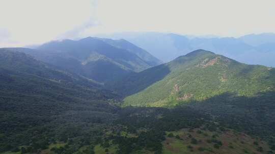 航拍武夷山黄岗山最高峰峡谷草甸森林云海