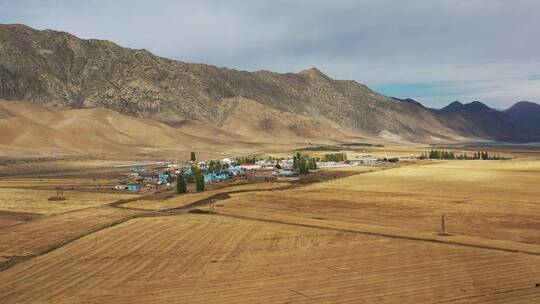 新疆阿勒泰可可托海农场秋天的风光