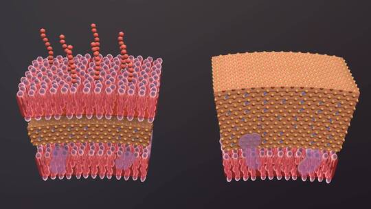 医学病原体病毒病原体病菌细菌医学三维动画