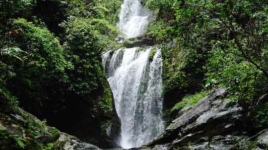 山泉水流水滴森林水流大自然酒水唯美广告