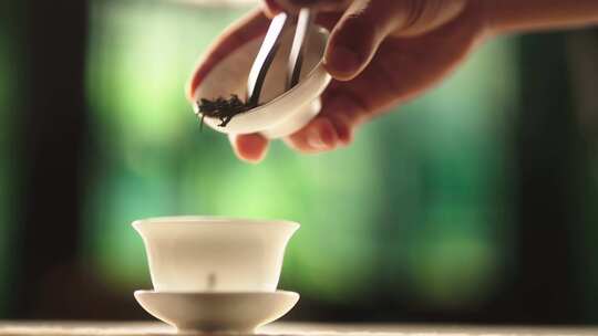 中式茶道品茗意境品味茶香闻茶香