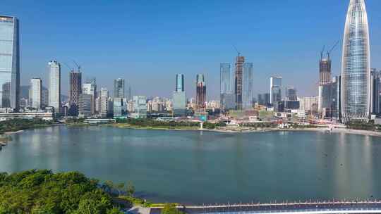 4K深圳湾鸬鹚生态航拍33