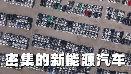 港口停满密集的新能源汽车