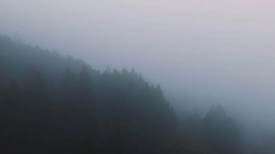 航拍清晨神秘迷雾森林视频素材模板下载