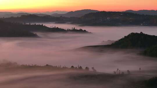 唯美茶山云海日出