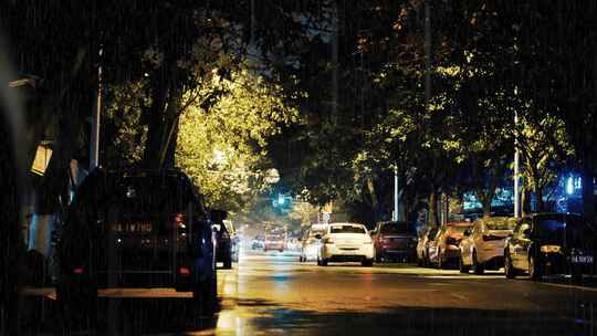 雨中的林荫小道视频素材模板下载