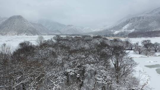 航拍湖北神农架大九湖冬季冰雪风光雪景