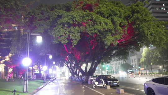 温州信河街夜景