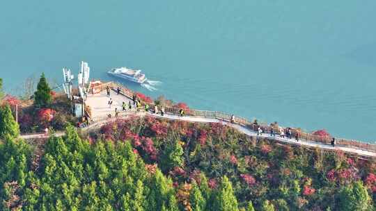 长江三峡巫峡红叶