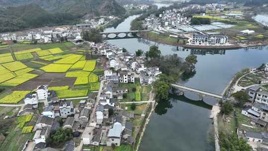 航拍油菜花田