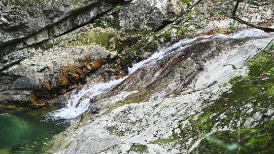 夏天森林里岩石小溪溪流瀑布流水