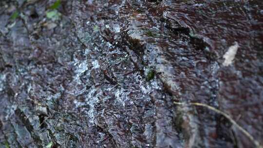 小溪 流水 高山 水 河流 流水