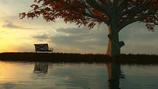 秋季黄昏大树背景下的长椅