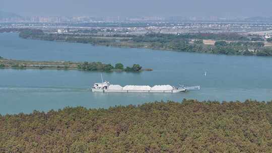 中国广东省珠海市斗门水松林自然保护区