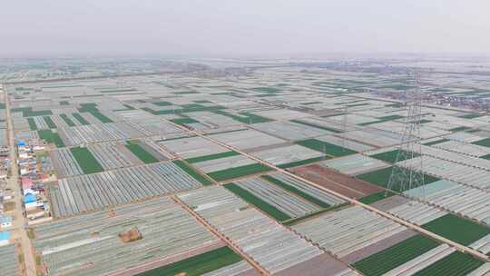航拍农田大棚  航拍蔬菜大棚