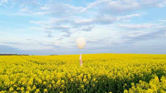 诗意油菜花田，空中飘着白色气球视频素材模板下载