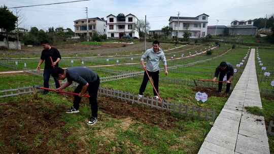 劳动空镜刨土锄地农场工人耕作劳作翻土