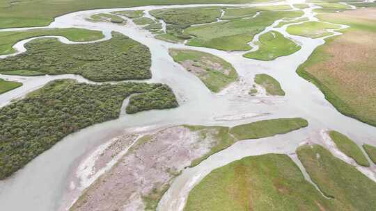 新疆巴音布鲁克开都河湿地