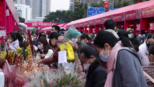 深圳花市视频素材模板下载