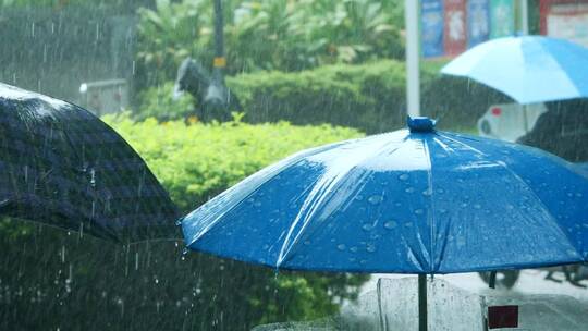 暴雨天气打伞的人们在雨中行走