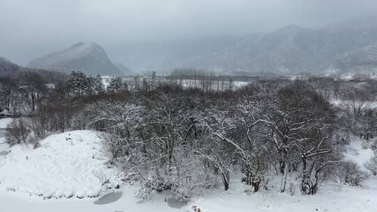 航拍湖北神农架大九湖冬季冰雪风光雪景